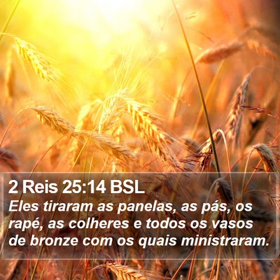 2 Reis 25:14 BSL Bible Verse Image