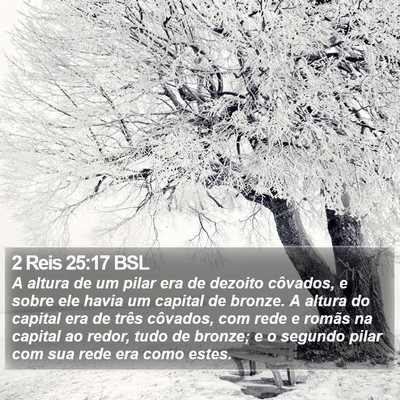 2 Reis 25:17 BSL Bible Verse Image
