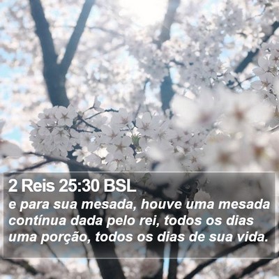 2 Reis 25:30 BSL Bible Verse Image