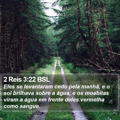 2 Reis 3:22 BSL Bible Verse Image