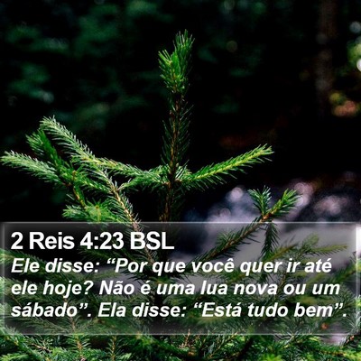 2 Reis 4:23 BSL Bible Verse Image