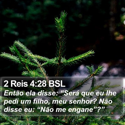 2 Reis 4:28 BSL Bible Verse Image