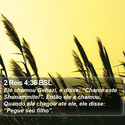 2 Reis 4:36 BSL Bible Verse Image