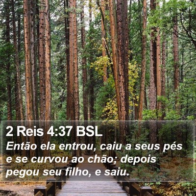 2 Reis 4:37 BSL Bible Verse Image