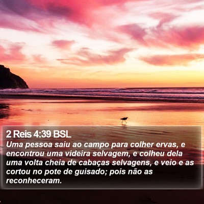 2 Reis 4:39 BSL Bible Verse Image