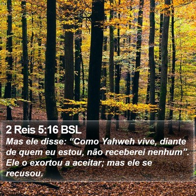 2 Reis 5:16 BSL Bible Verse Image