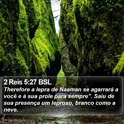 2 Reis 5:27 BSL Bible Verse Image