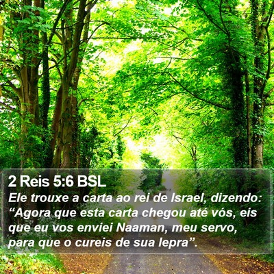 2 Reis 5:6 BSL Bible Verse Image