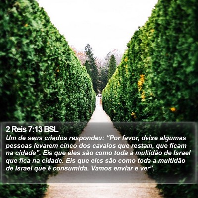 2 Reis 7:13 BSL Bible Verse Image