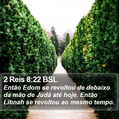 2 Reis 8:22 BSL Bible Verse Image
