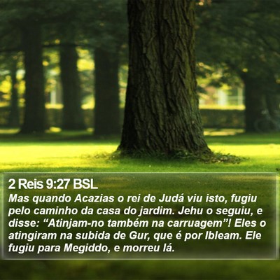 2 Reis 9:27 BSL Bible Verse Image