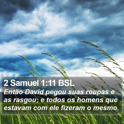 2 Samuel 1:11 BSL Bible Verse Image