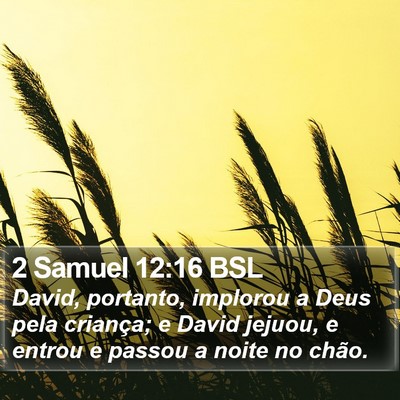 2 Samuel 12:16 BSL Bible Verse Image