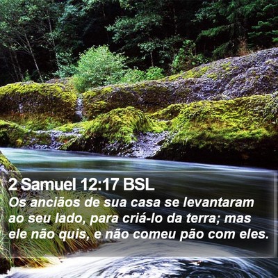 2 Samuel 12:17 BSL Bible Verse Image