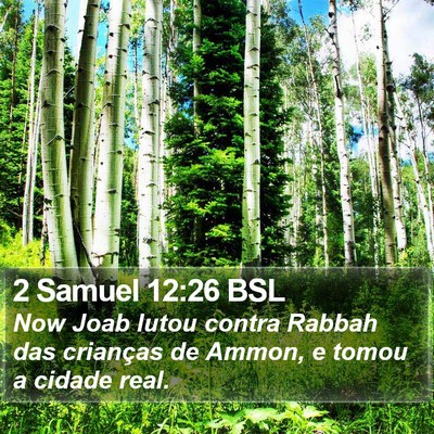 2 Samuel 12:26 BSL Bible Verse Image