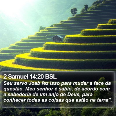 2 Samuel 14:20 BSL Bible Verse Image