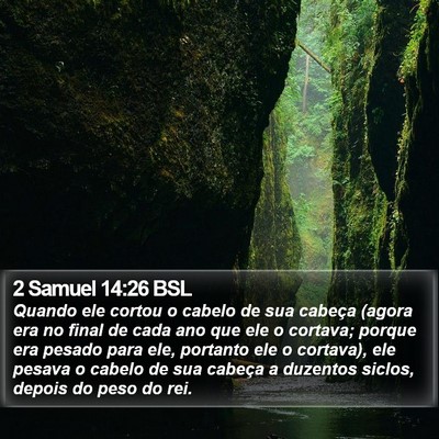 2 Samuel 14:26 BSL Bible Verse Image