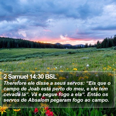 2 Samuel 14:30 BSL Bible Verse Image