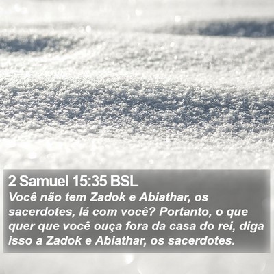 2 Samuel 15:35 BSL Bible Verse Image