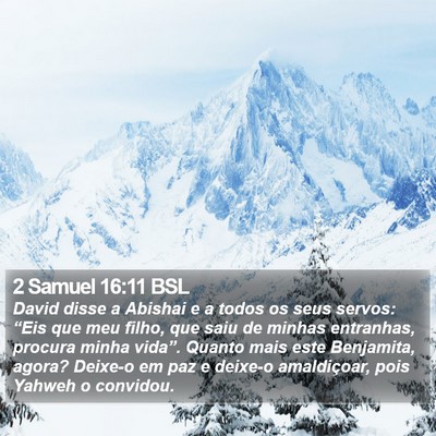 2 Samuel 16:11 BSL Bible Verse Image
