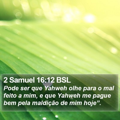 2 Samuel 16:12 BSL Bible Verse Image
