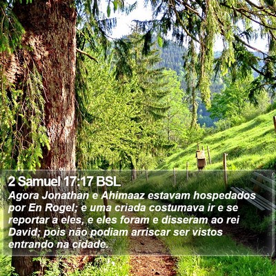 2 Samuel 17:17 BSL Bible Verse Image