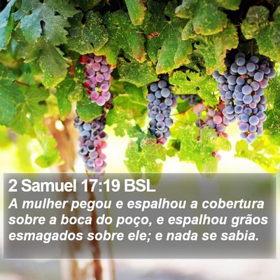2 Samuel 17:19 BSL Bible Verse Image