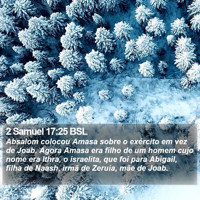 2 Samuel 17:25 BSL Bible Verse Image