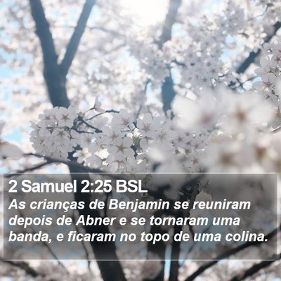 2 Samuel 2:25 BSL Bible Verse Image