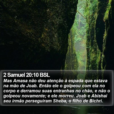 2 Samuel 20:10 BSL Bible Verse Image