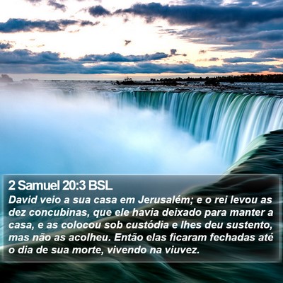 2 Samuel 20:3 BSL Bible Verse Image