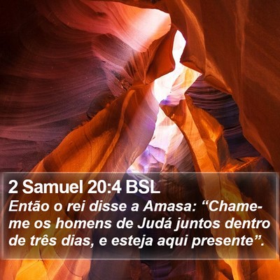2 Samuel 20:4 BSL Bible Verse Image