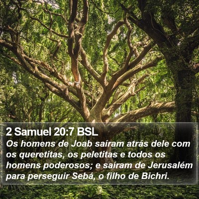 2 Samuel 20:7 BSL Bible Verse Image