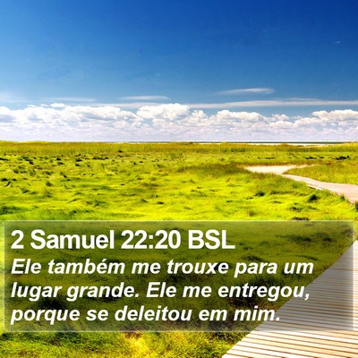 2 Samuel 22:20 BSL Bible Verse Image