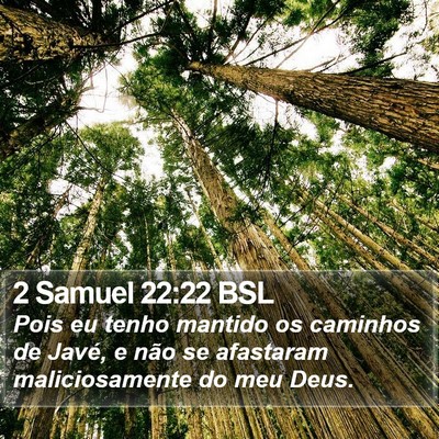 2 Samuel 22:22 BSL Bible Verse Image