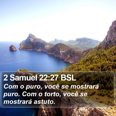 2 Samuel 22:27 BSL Bible Verse Image