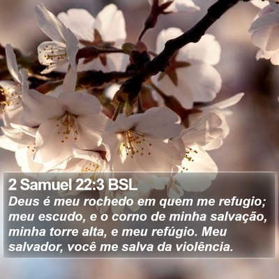 2 Samuel 22:3 BSL Bible Verse Image