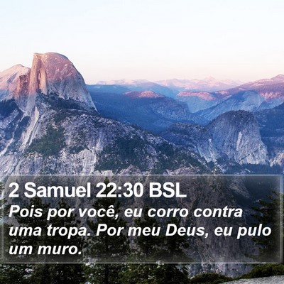 2 Samuel 22:30 BSL Bible Verse Image