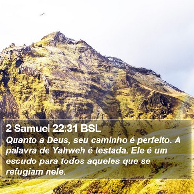 2 Samuel 22:31 BSL Bible Verse Image