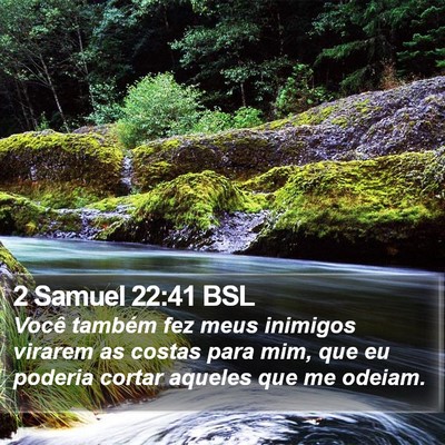 2 Samuel 22:41 BSL Bible Verse Image