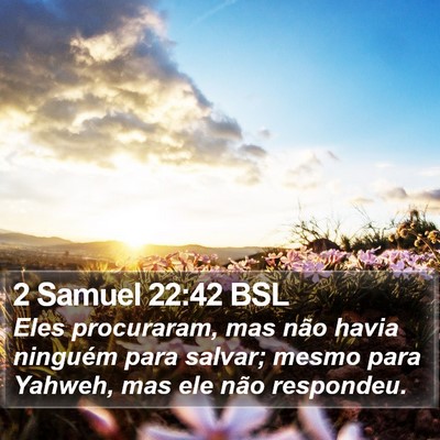 2 Samuel 22:42 BSL Bible Verse Image