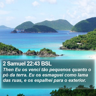 2 Samuel 22:43 BSL Bible Verse Image