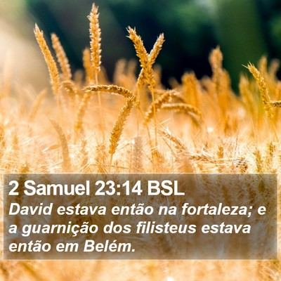 2 Samuel 23:14 BSL Bible Verse Image