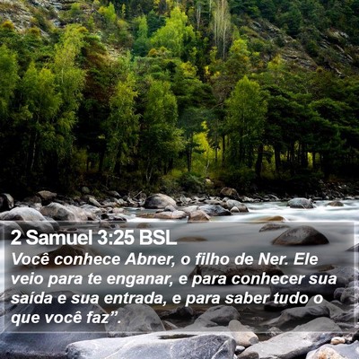 2 Samuel 3:25 BSL Bible Verse Image