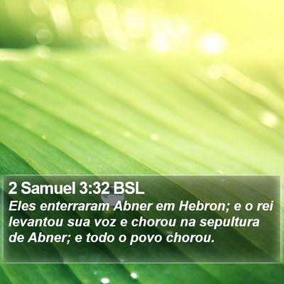 2 Samuel 3:32 BSL Bible Verse Image
