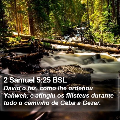 2 Samuel 5:25 BSL Bible Verse Image