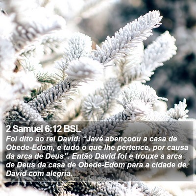 2 Samuel 6:12 BSL Bible Verse Image