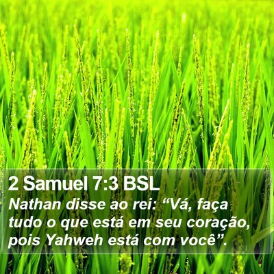 2 Samuel 7:3 BSL Bible Verse Image
