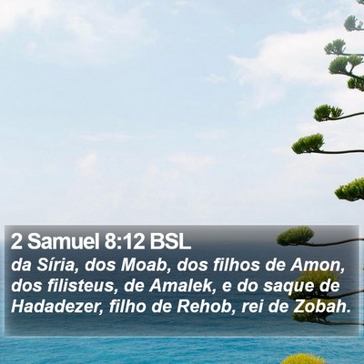 2 Samuel 8:12 BSL Bible Verse Image