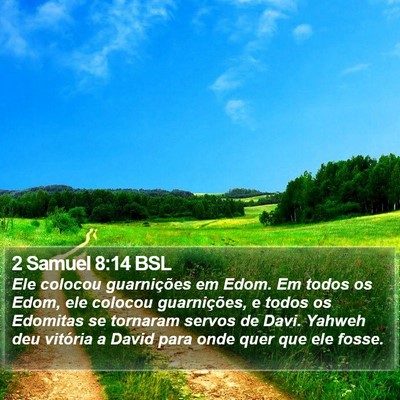 2 Samuel 8:14 BSL Bible Verse Image